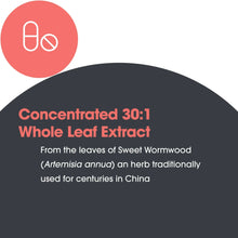 Load image into Gallery viewer, Artemisia | Sweet Wormwood 30:1 Extract 500 mg - 100 Capsules Oral Supplement Allergy Research Group