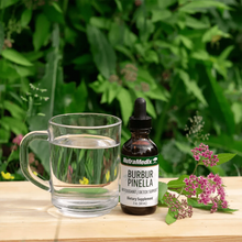 Load image into Gallery viewer, Burbur Pinella | Antioxidant & Detox Support - 2 oz Oral Supplements Nutramedix