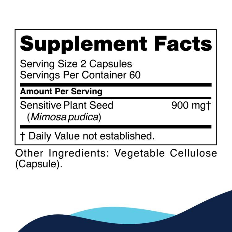 Para 1 | Mimosa Pudica Seed | Immune & Digestive Support