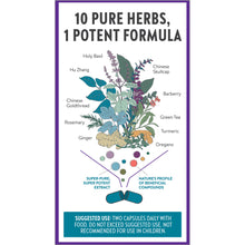 Load image into Gallery viewer, Zyflamend™ | Herbal Pain Relief - 60, 120 and 180 Capsules Oral Supplements New Chapter