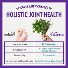 Load image into Gallery viewer, Zyflamend™ | Herbal Pain Relief - 60, 120 and 180 Capsules Oral Supplements New Chapter