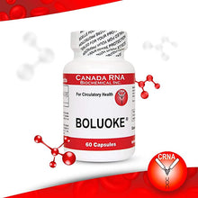 Load image into Gallery viewer, Boluoke® Lumbrokinase | RNA Supplement - 60 or 120 capsules Oral Supplement Canada RNA