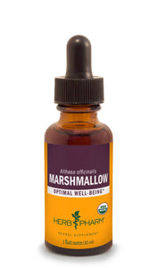 Marshmallow Root Tincture | Organic - 1 fl. oz. Tinctures Herb-Pharm 