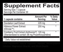 Load image into Gallery viewer, UT Defense | Kidney & Urinary Tract Support - 30 Capsules Oral Supplements Ortho Molecular Products