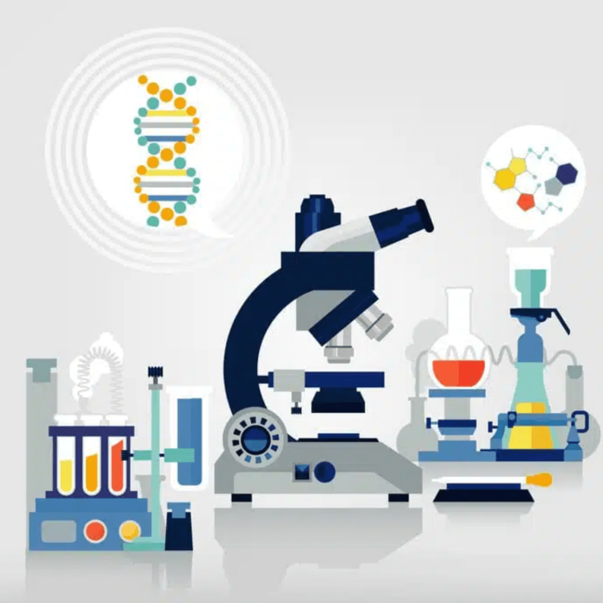 A Review of Lyme Infection Tests: Pass or Fail