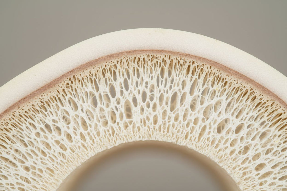 Bone Density Support