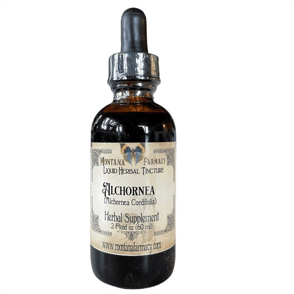 Alchornea Liquid Herbal Tincture - 2 fl oz Tinctures Montana Farmacy 