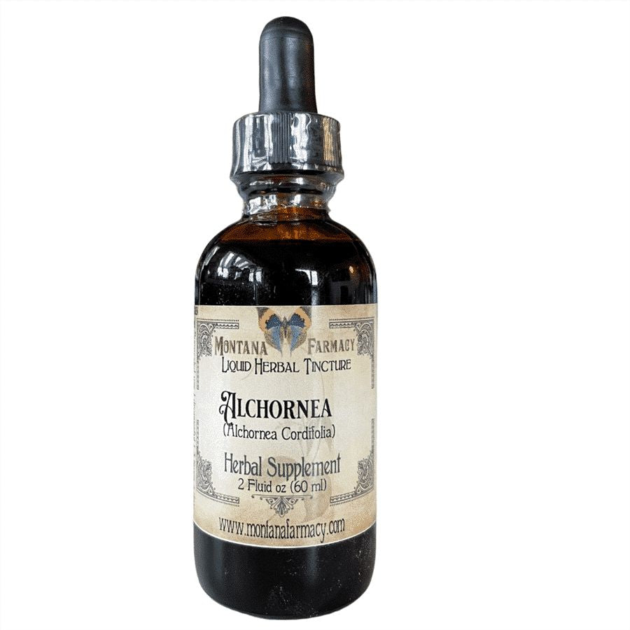 Alchornea Liquid Herbal Tincture - 2 fl oz Tinctures Montana Farmacy 
