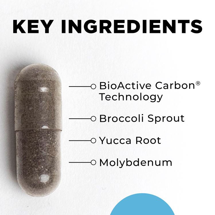 BioToxin Binder | Microbiome & Detox Support - 120 Capsules Oral Supplements CellCore 