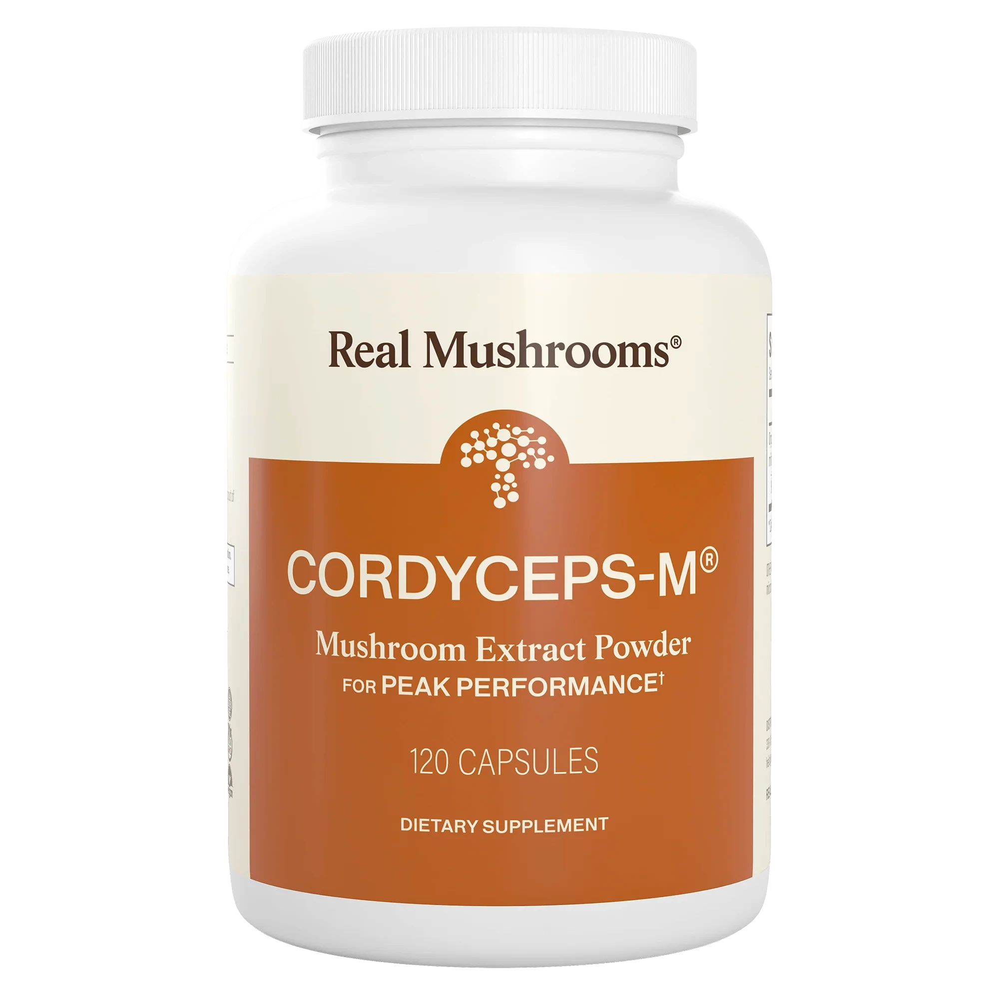 Cordyceps Mushroom Extract - 120 Capsules Oral Supplements Real Mushrooms 