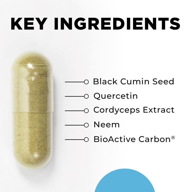 CytoImmune | Foundational Immunity Support - 60 Capsules Oral Supplements CellCore 