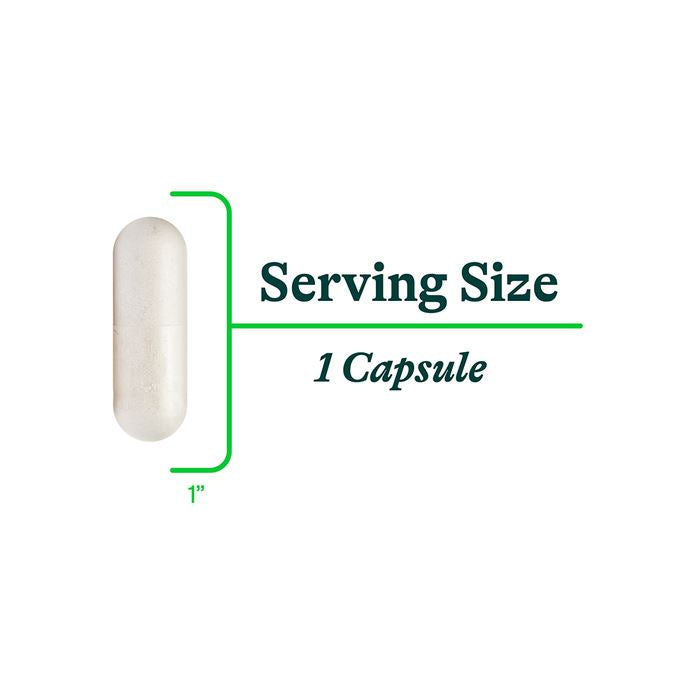Histamine Digest™️| Supports Digestion of Histamine | DAO - 30 Capsules Oral Supplements Seeking Health 