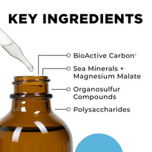 Load image into Gallery viewer, HydrOxygen® | Mitochondrial &amp; Energy Support - 2 fl oz Oral Supplements CellCore 