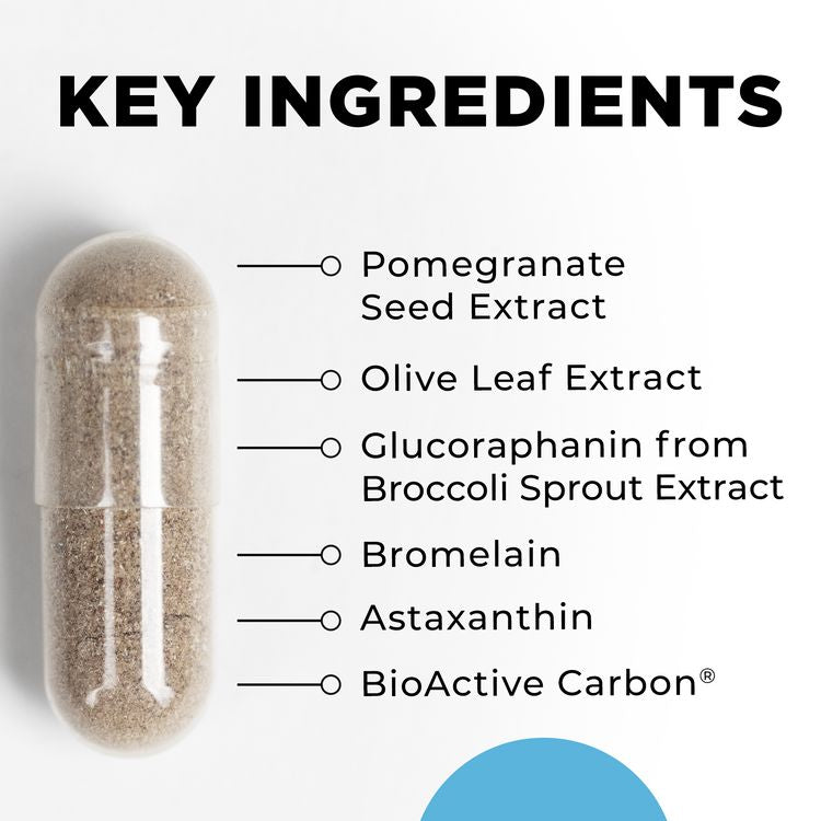 IFC | Whole Body Support - 120 Capsules Oral Supplements CellCore 