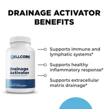 Load image into Gallery viewer, ImmunoSpike Kit | Immune Support &amp; Detoxification - 3 Items Oral Supplements CellCore 