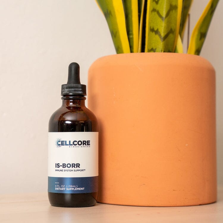 IS-BORR | Immune System Support - 4 fl oz Oral Supplements CellCore 