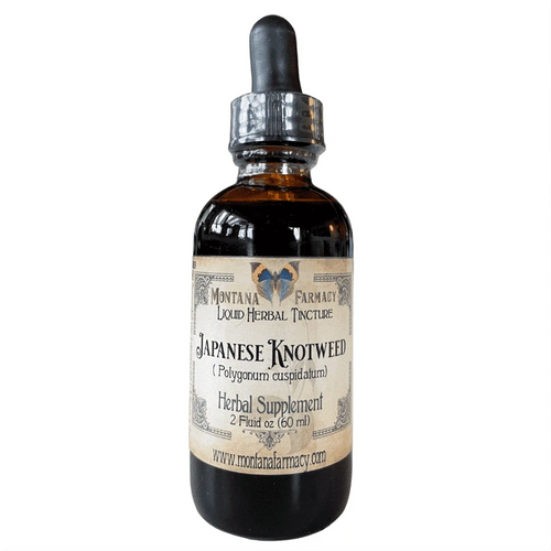 Japanese Knotweed Liquid Herbal Tincture - 2 fl oz Tinctures Montana Farmacy 