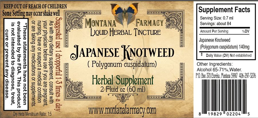 Japanese Knotweed Liquid Herbal Tincture - 2 fl oz Tinctures Montana Farmacy 
