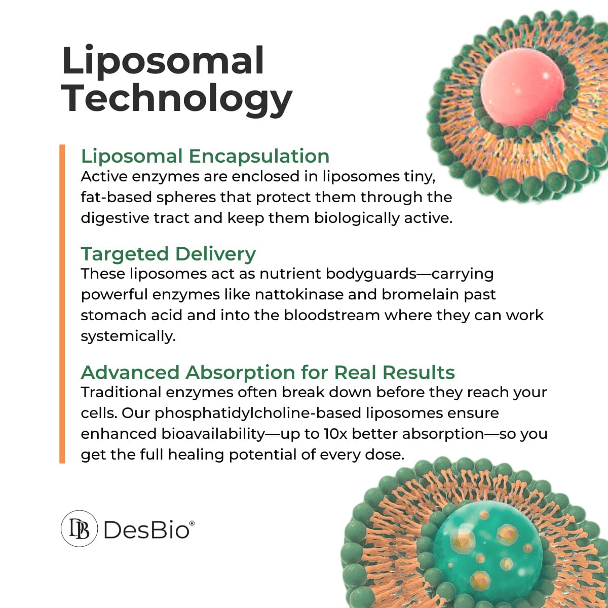 Liposomal TransZyme | Cardiovascular, Excess Fibrin & Biofilm Support - 8 fl oz Oral Supplements DesBio 