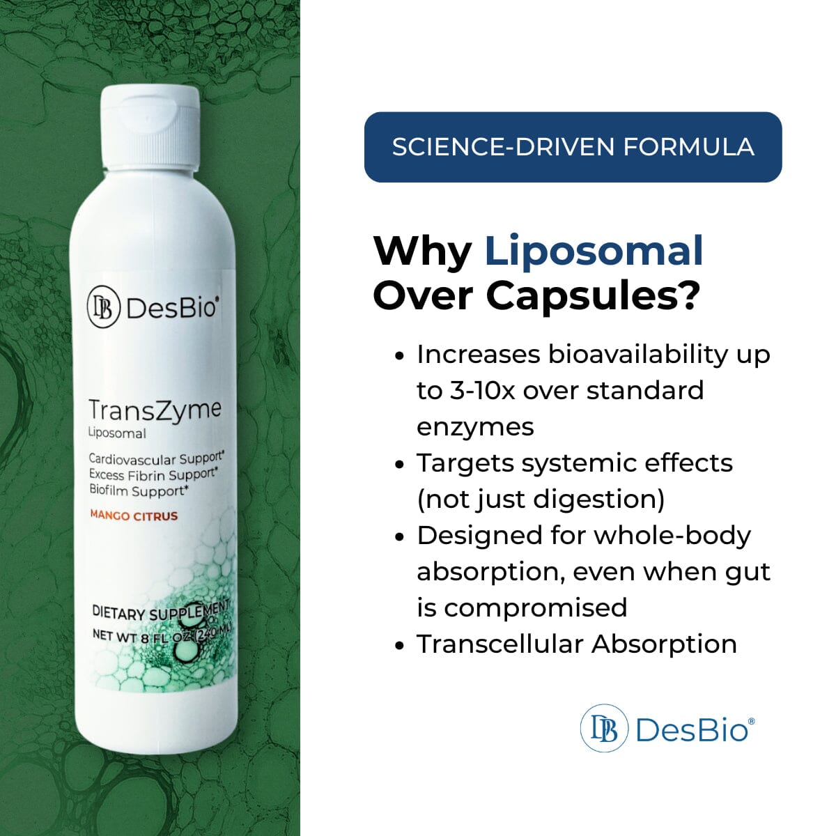 Liposomal TransZyme | Cardiovascular, Excess Fibrin & Biofilm Support - 8 fl oz Oral Supplements DesBio 