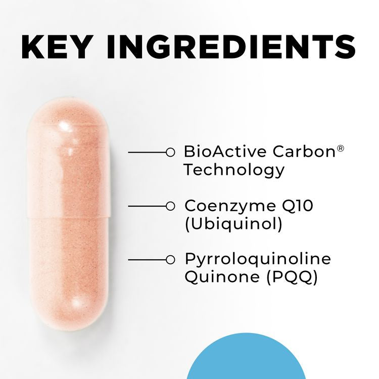MitoActive™ | Mitochondria Biogenesis & Renewal Support - 60 Capsules Oral Supplements CellCore 