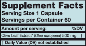 Olive Leaf Extract - 60 Capsules Oral Supplements Karuna 