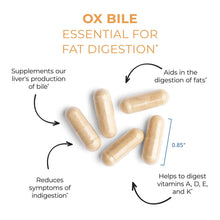 Load image into Gallery viewer, Ox Bile | Essential for Fat Digestion | 125 mg - 180 Capsules Oral Supplements Allergy Research Group 