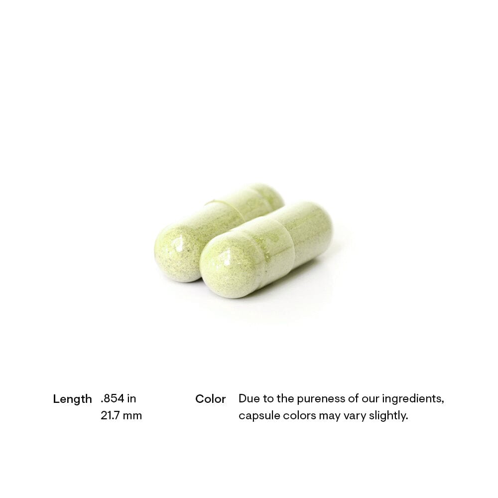 Quercetin Complex (formerly Quercenase) | Combination of Quercetin & Bromelain - 60 Capsules Oral Supplements Thorne 