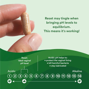 Reset Homeopathic Vaginal Suppository (formerly BiopHresh®) - 10 Suppositories Suppository Good Clean Love 