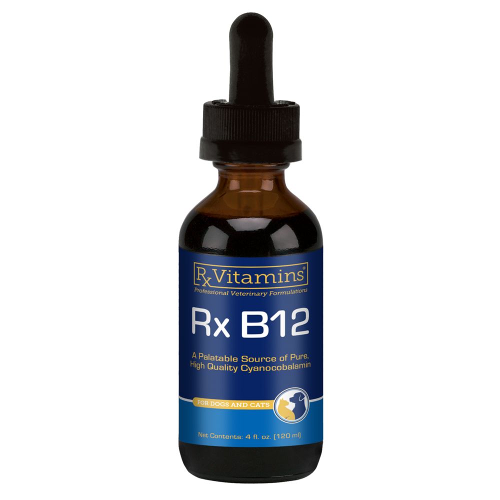 Rx B12 for Pets - 4 fl oz Oral Supplements Rx Vitamins 