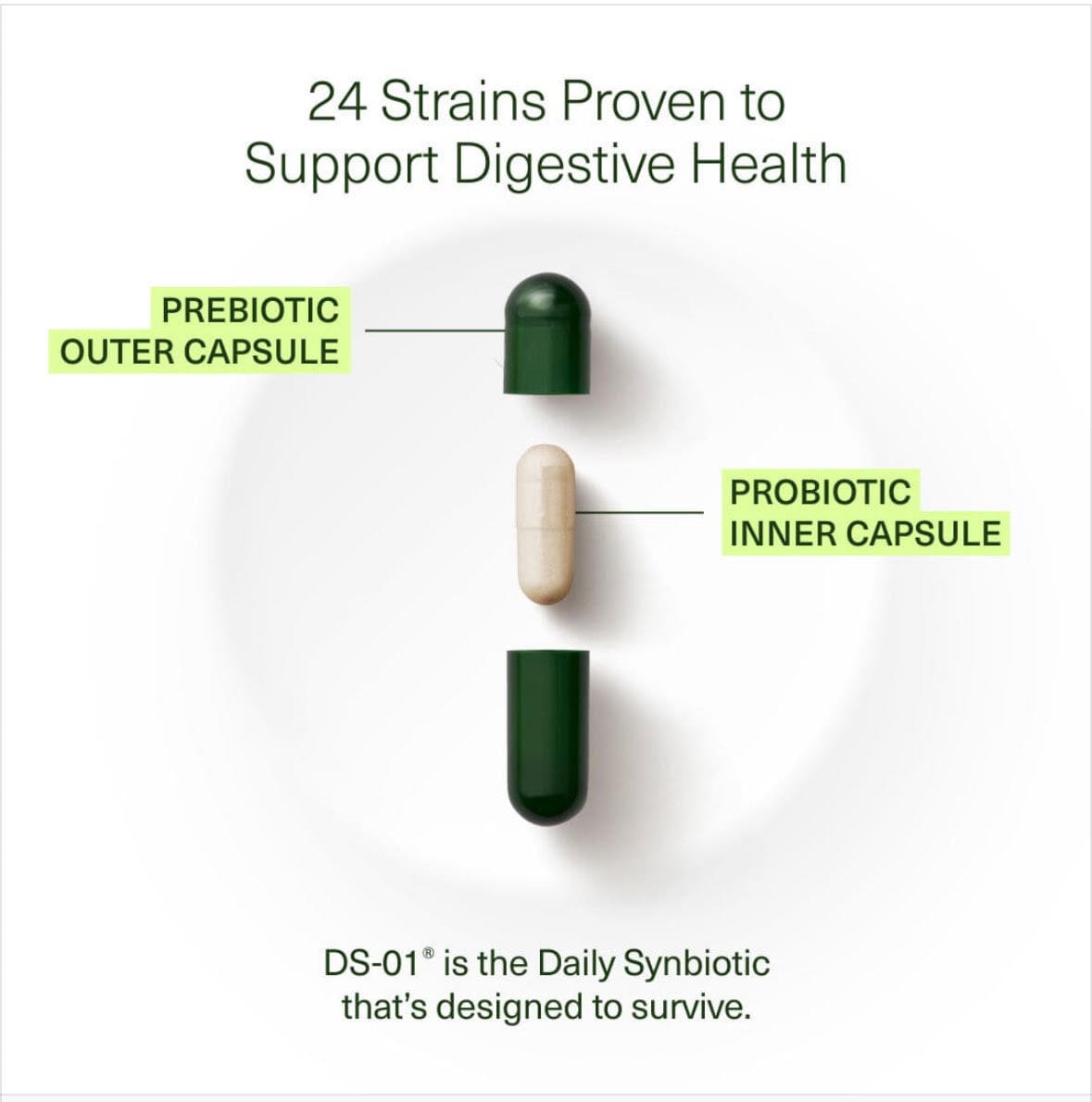 Seed DS-01® Daily Synbiotic | Probiotic & Prebiotic - 60 Capsules