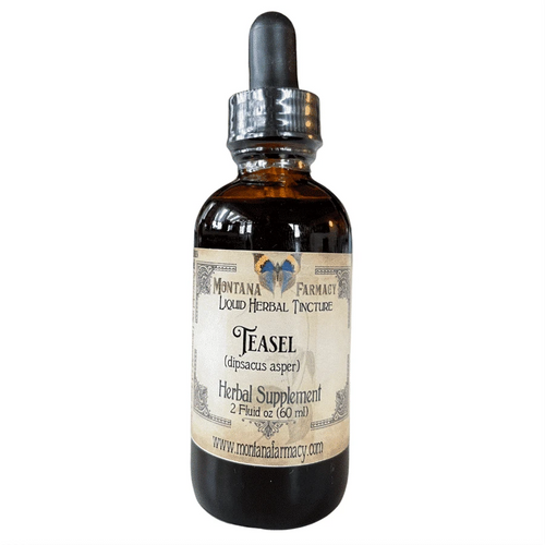 Teasel Liquid Herbal Tincture - 2 fl oz Tinctures Montana Farmacy 