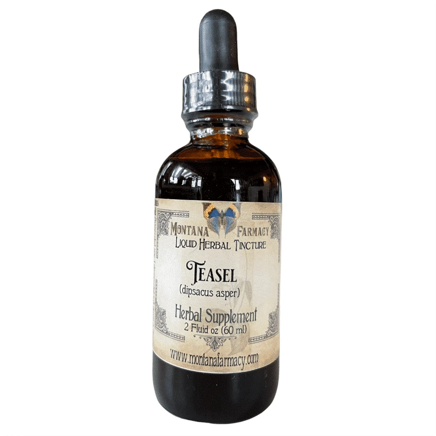 Teasel Liquid Herbal Tincture - 2 fl oz Tinctures Montana Farmacy 