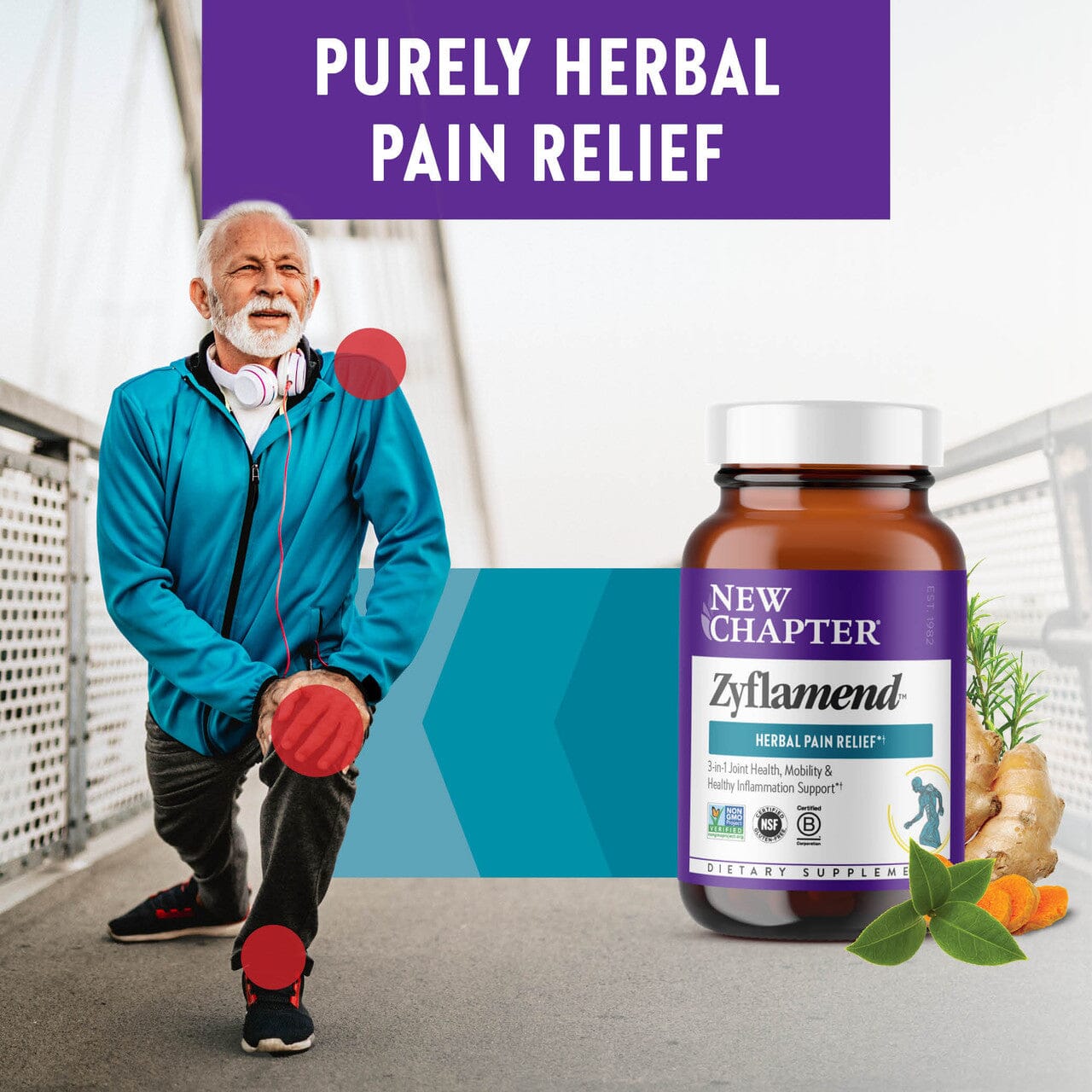 Zyflamend™ | Herbal Pain Relief - 60, 120 and 180 Capsules Oral Supplements New Chapter 
