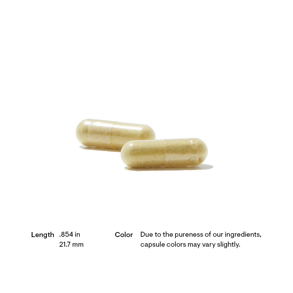 Basic Nutrients 2/Day | Multi-Vitamin/Mineral Formula - 60 Capsules Oral Supplements Thorne 