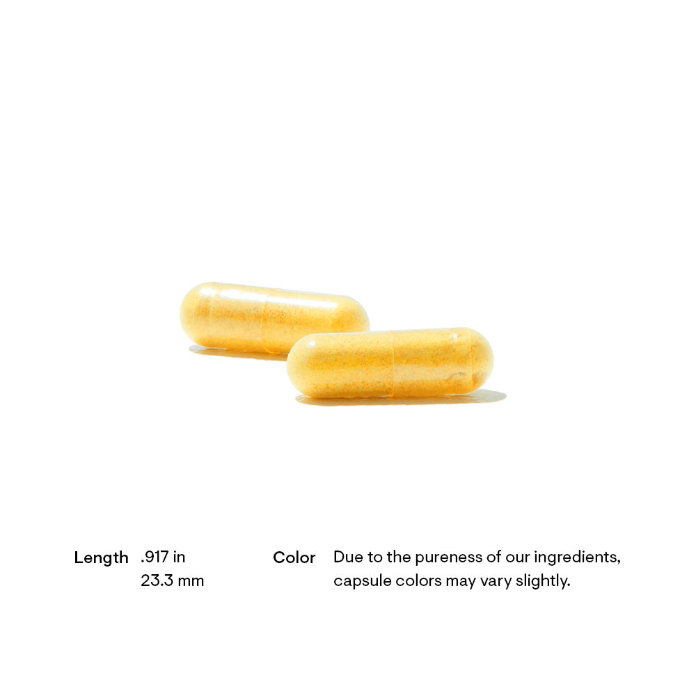 Berberine | Healthy Balance of Microbes - 60 Capsules Oral Supplements Thorne 