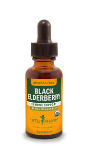Black Elderberry Tincture | Alcohol Free - 1 Fl oz. Tinctures Herb-Pharm 