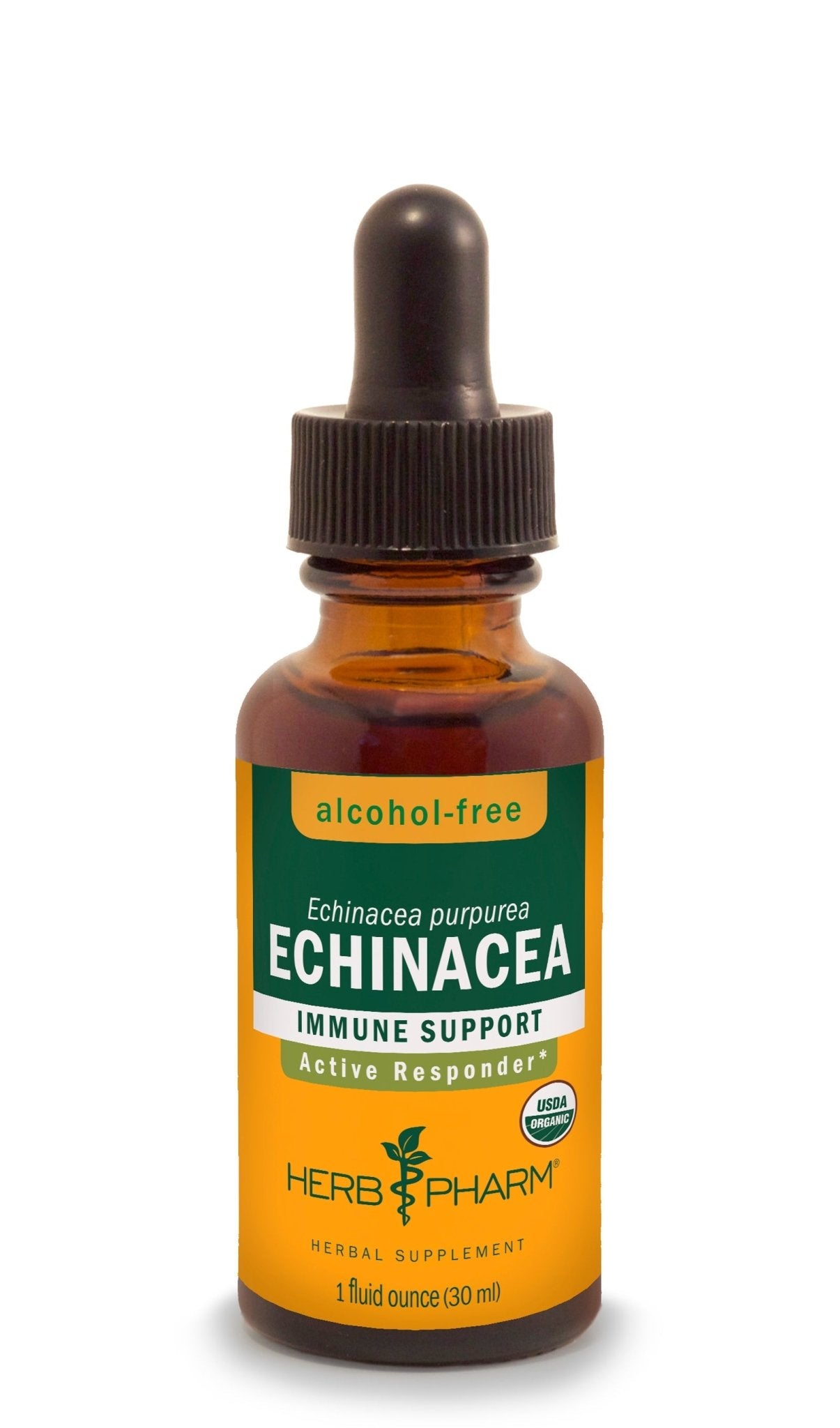 Echinacea Tincture | Alcohol Free - 1 Fl oz. Tinctures Herb-Pharm 