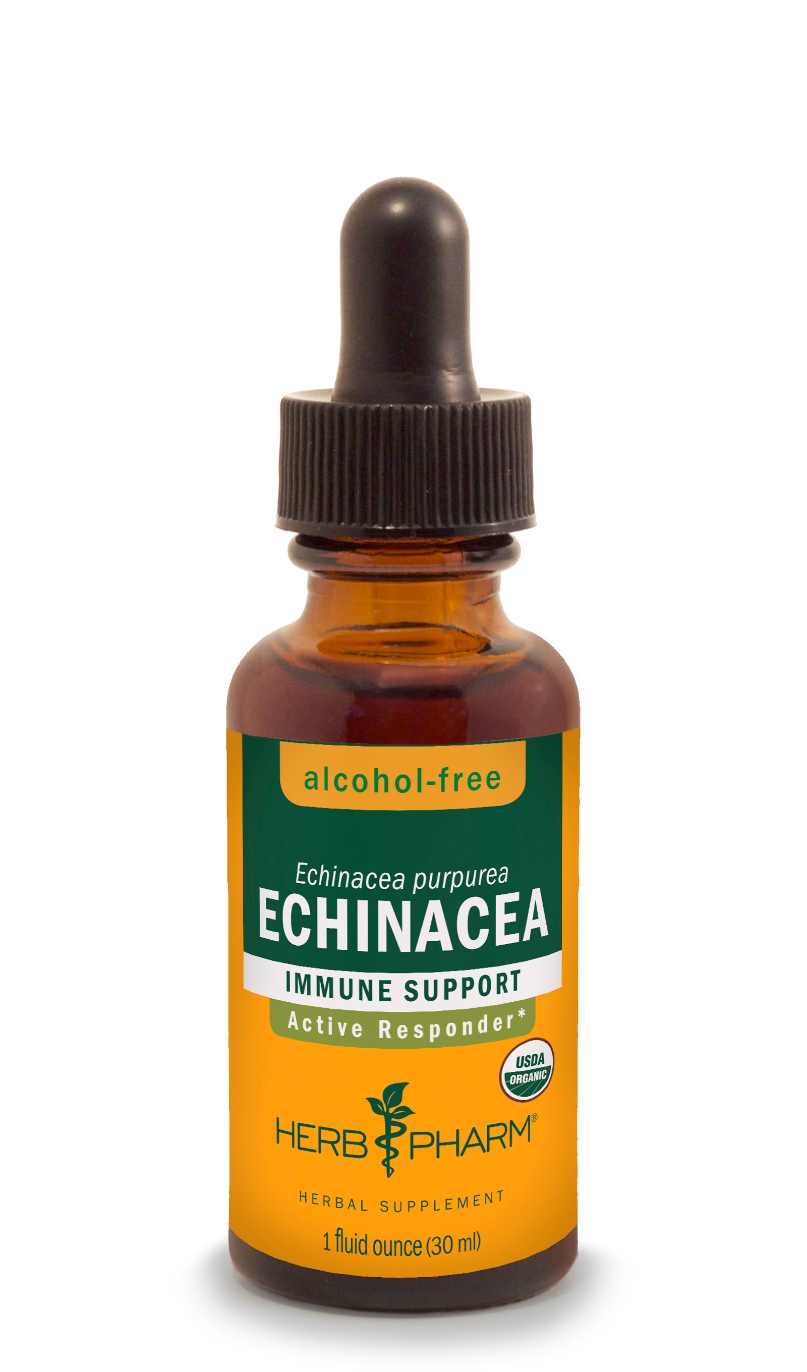 Echinacea Tincture | Alcohol Free - 1 Fl oz. Tinctures Herb-Pharm 