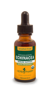 Echinacea Tincture | Alcohol Free - 1 Fl oz. Tinctures Herb-Pharm 