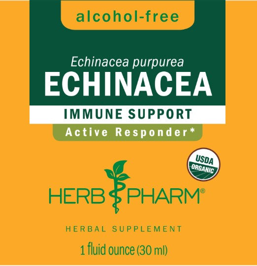 Echinacea Tincture | Alcohol Free - 1 Fl oz. Tinctures Herb-Pharm 