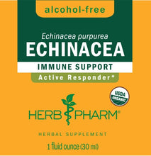 Load image into Gallery viewer, Echinacea Tincture | Alcohol Free - 1 Fl oz. Tinctures Herb-Pharm 