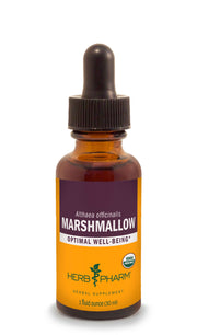 Marshmallow Root Tincture | Organic - 1 fl. oz. Tinctures Herb-Pharm 