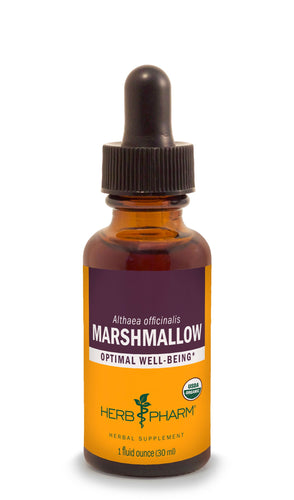 Marshmallow Root Tincture | Organic - 1 fl. oz. Tinctures Herb-Pharm 