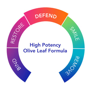Olivirex® | High Potency Olive Leaf Formula | Defend - 60 Capsules Oral Supplements Biocidin Botanicals 