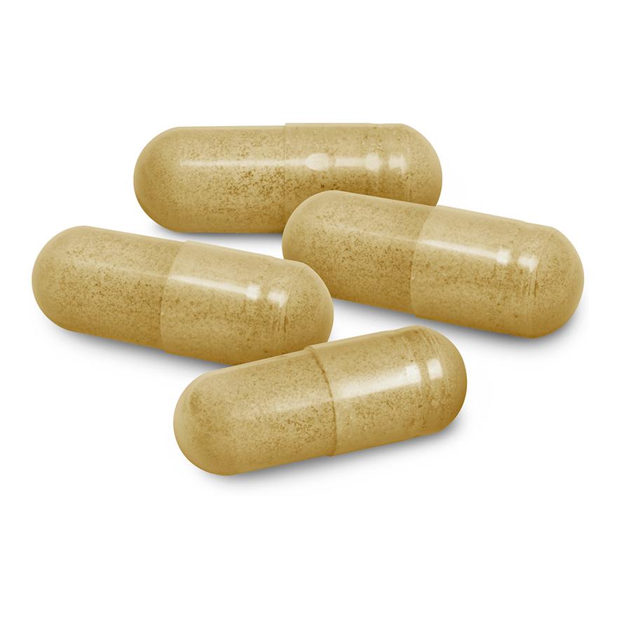 OregaRESP | Respiratory Support - 30 veggie caps Oral Supplement North American Herb & Spice 