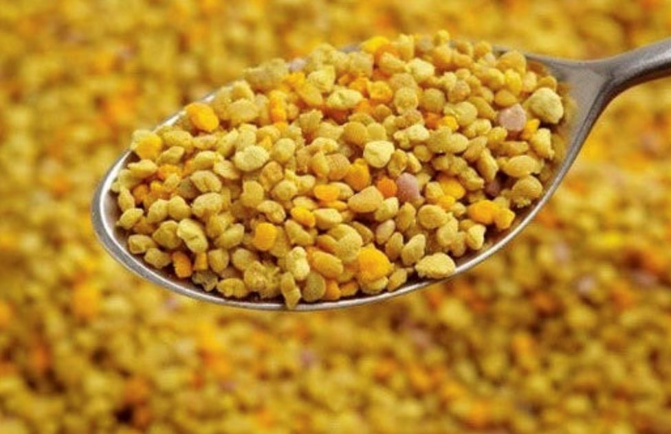 Organic Bee Pollen - 150 or 325 grams Oral Supplements Jana's All Natural 